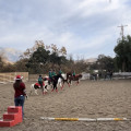 Understanding the Cancellation Policy for Riding Arenas in Contra Costa County, CA