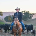 The Process of Reporting Issues at Riding Arenas in Contra Costa County, CA